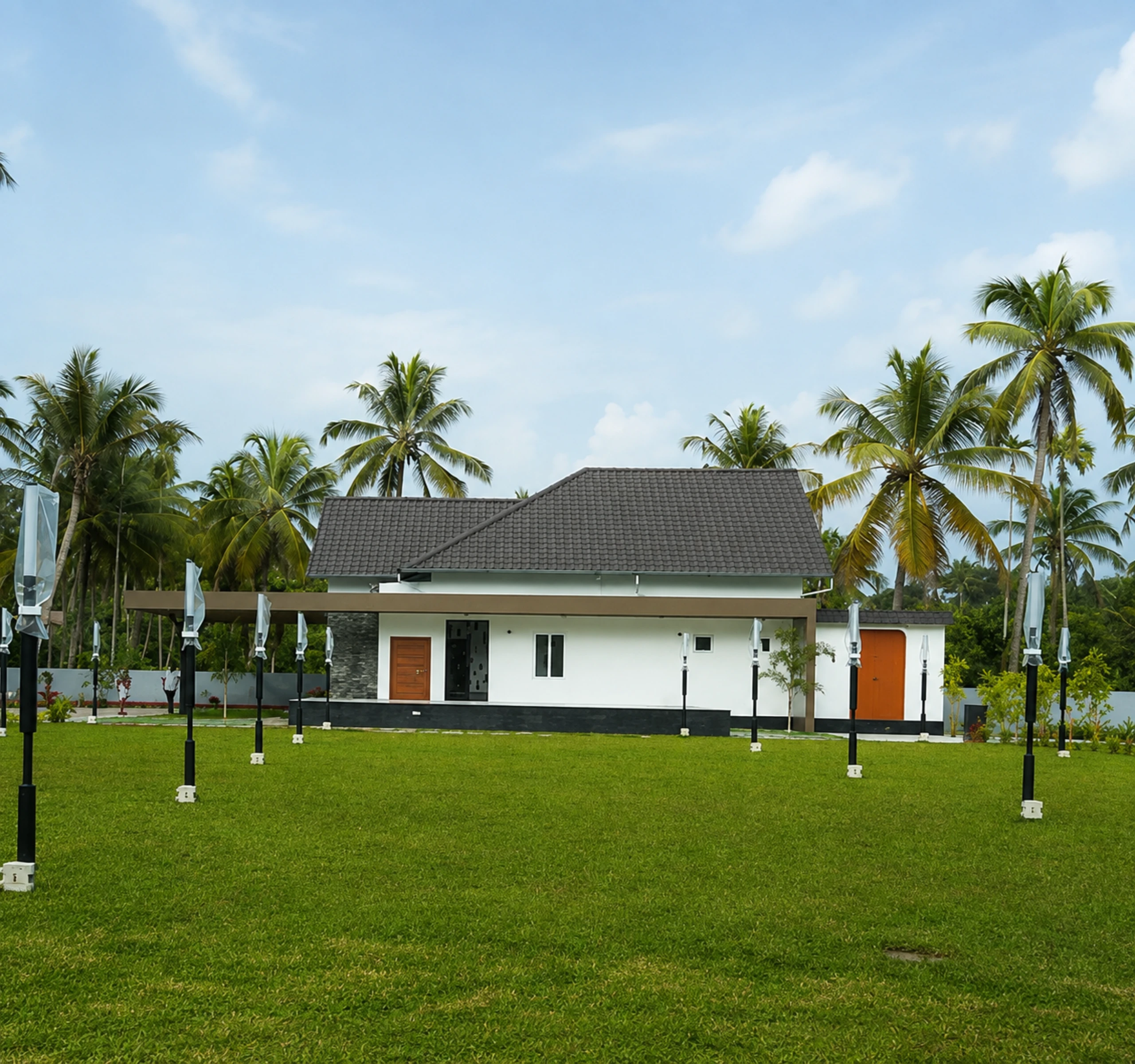 Wide green event lawn surrounded by coconut palms